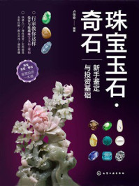 珠宝玉石·奇石：新手鉴定与投资基础-宝阳悦读网