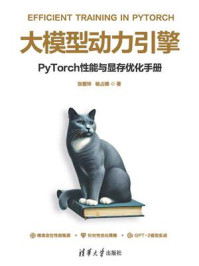 大模型动力引擎：PyTorch性能与显存优化手册-宝阳悦读网
